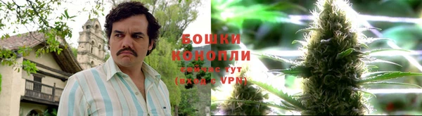 бошки Белоозёрский