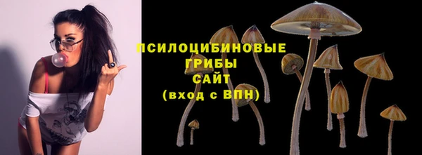 МДПВ Беломорск
