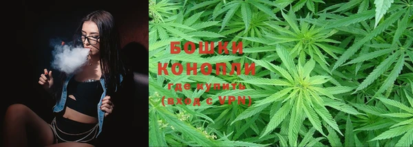 каннабис Белокуриха
