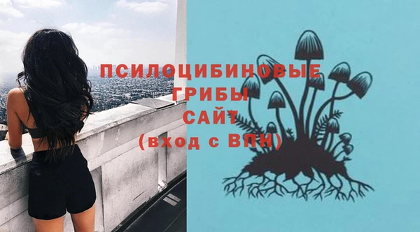 МДПВ Беломорск