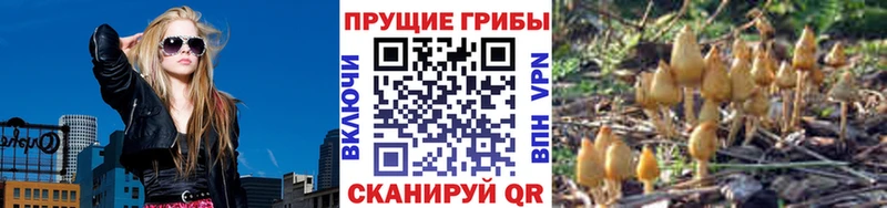 даркнет сайт  Нестеровская  Псилоцибиновые грибы прущие грибы 
