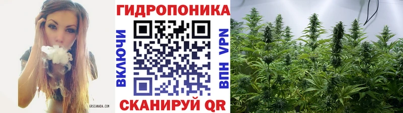 Марихуана SATIVA & INDICA  что такое   MEGA рабочий сайт  Нестеровская 